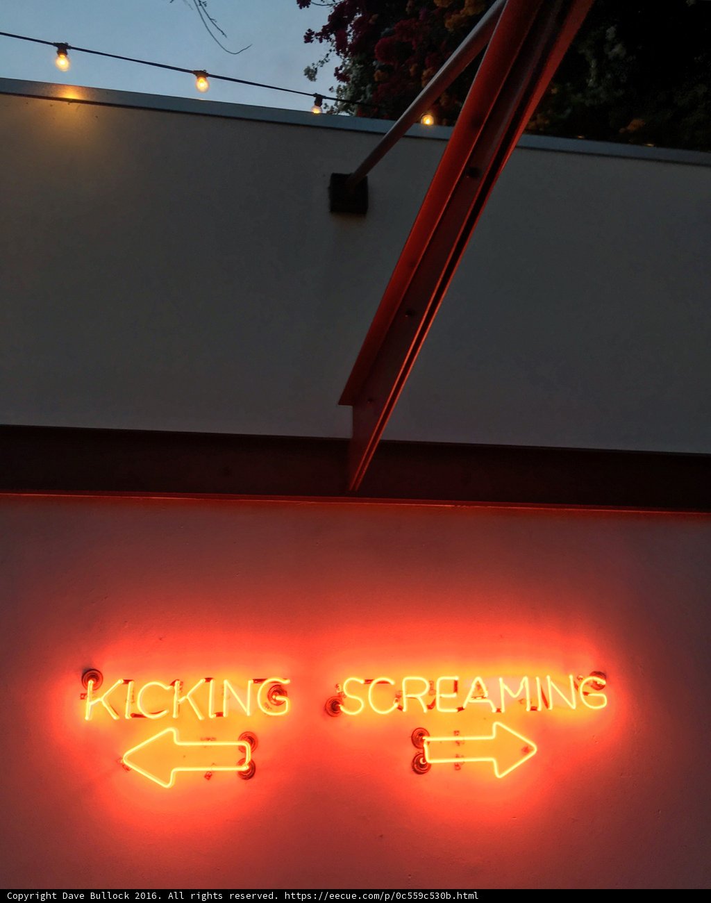 Kicking & Screaming Neon Sign