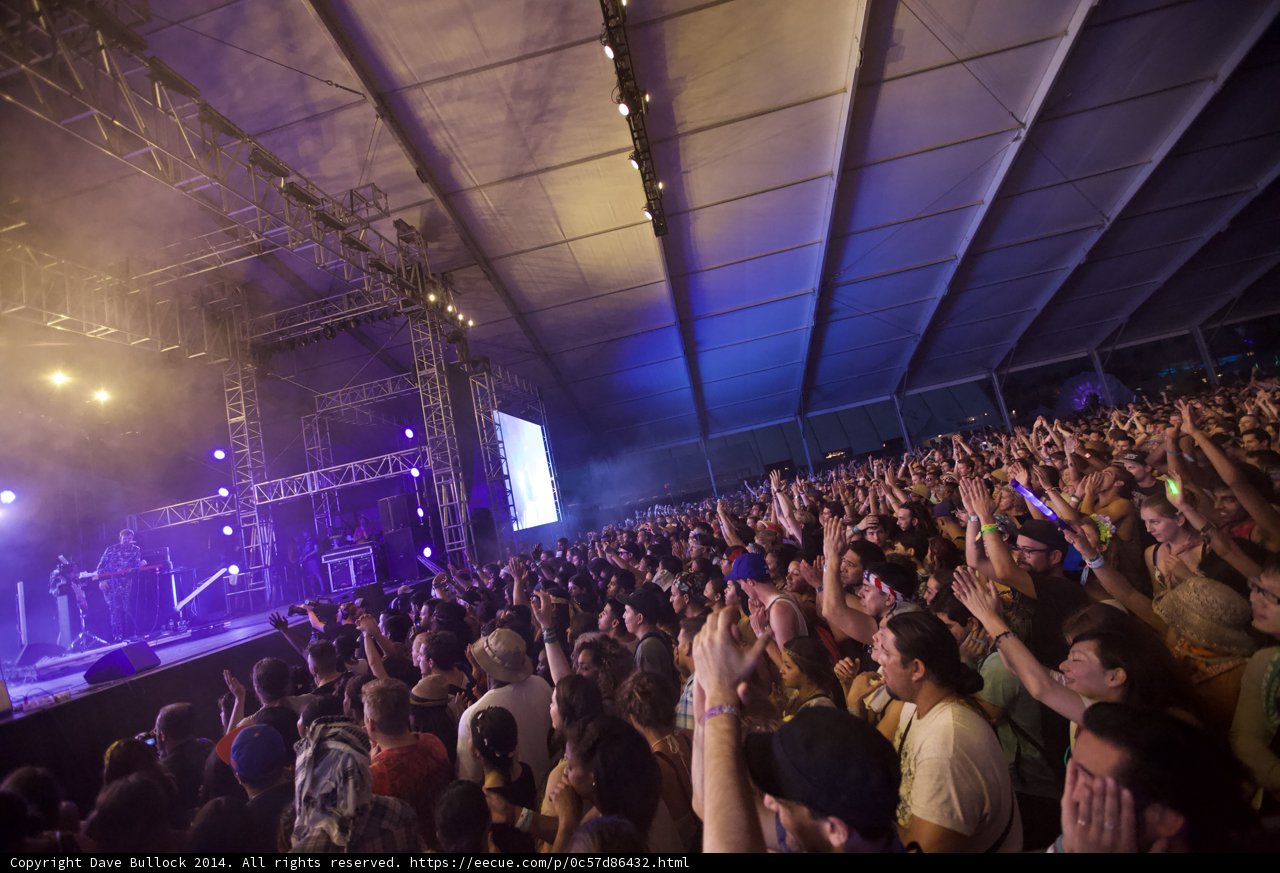 Electrifying Concert Crowd