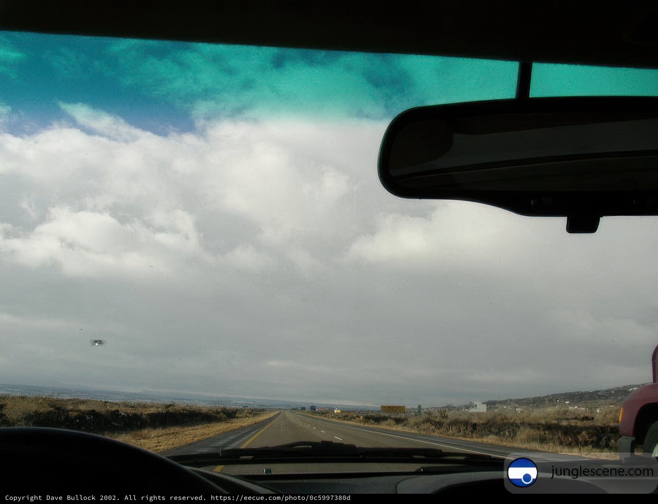 Driving Through Nature's Winter Wonderland