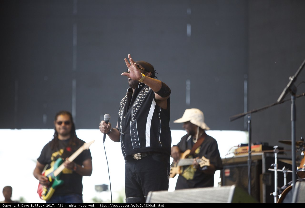Rocking the Stage at Coachella