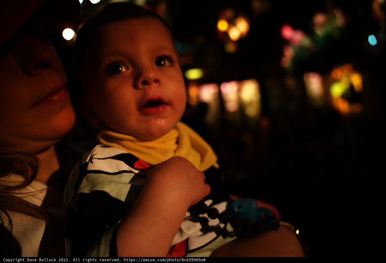 Magical Moments at Disneyland