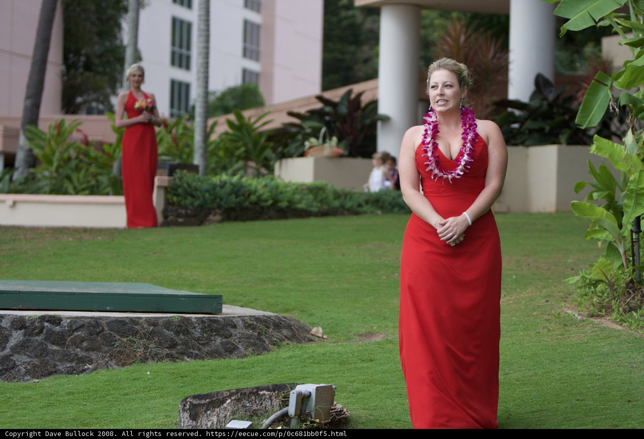 Lady in Red