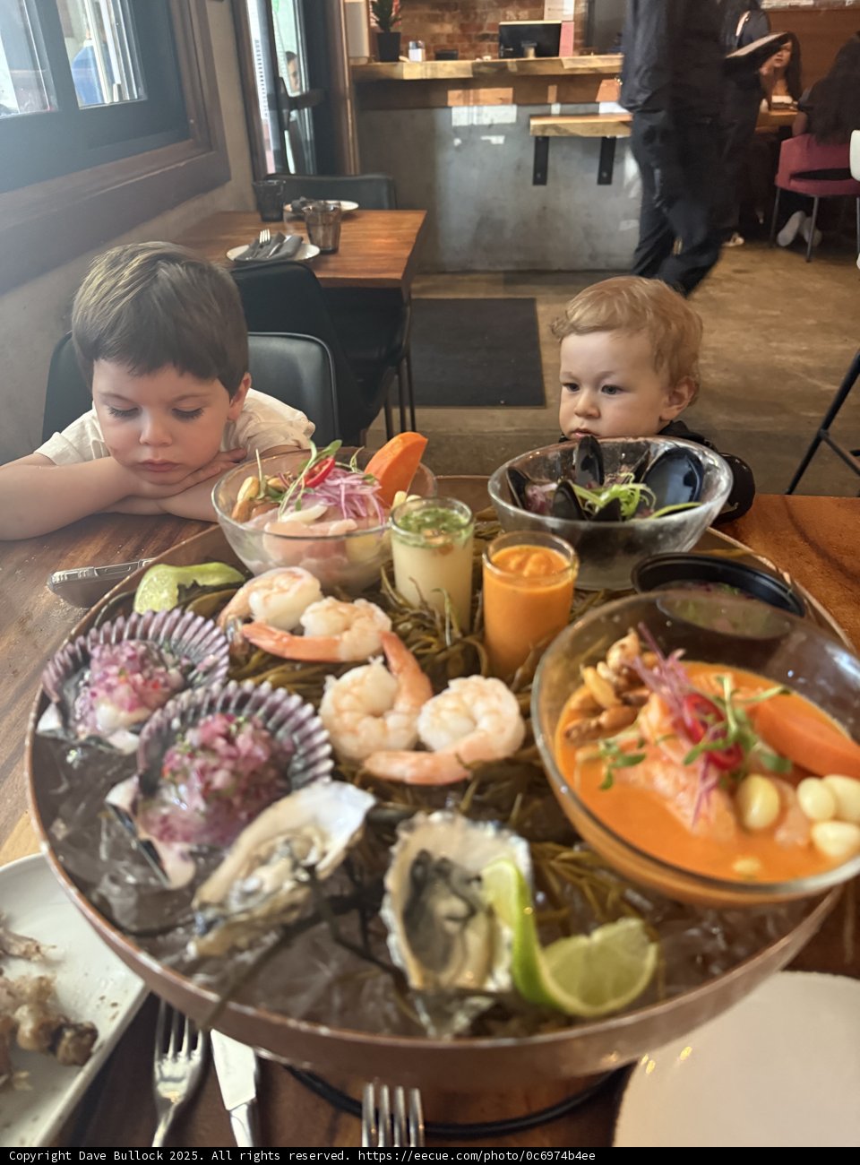 Curious Explorers at the Seafood Feast