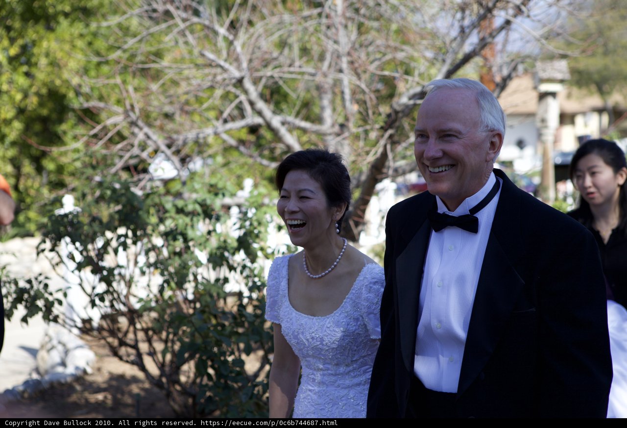 Elegant Formal Wear for Wedding Day