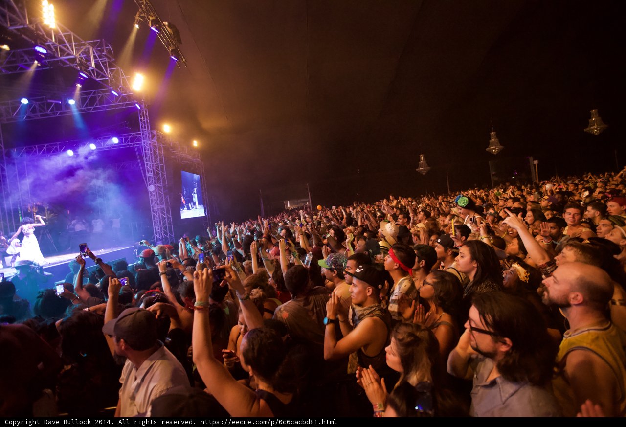 Hands Up at Coachella