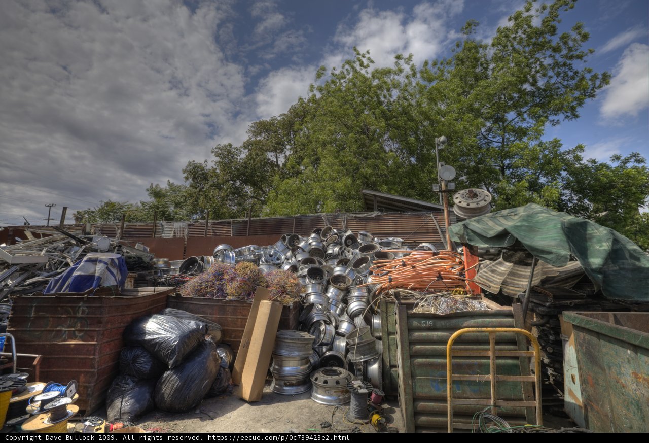 Trash Heap with a Tree in Sight