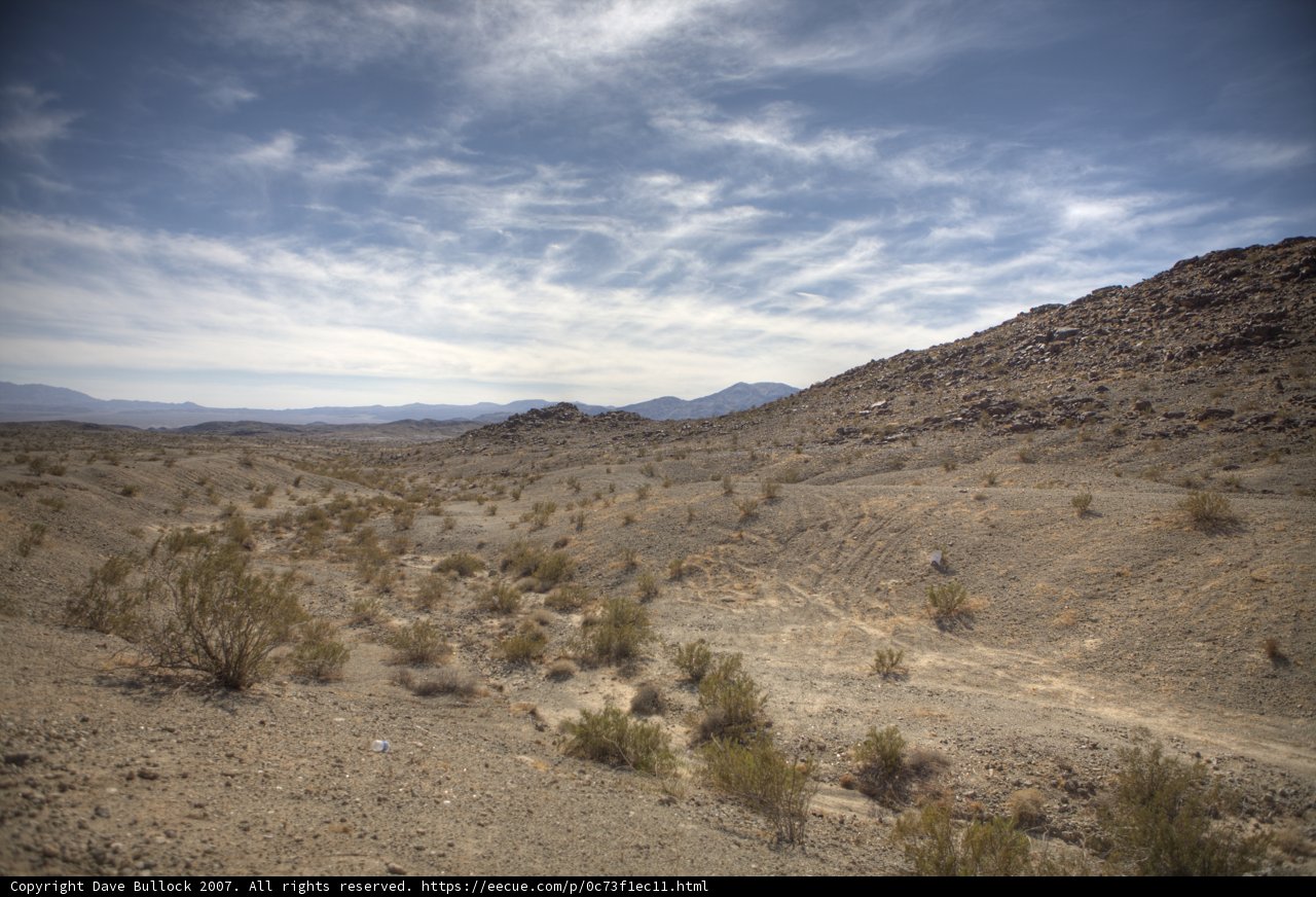 Desert Serenity