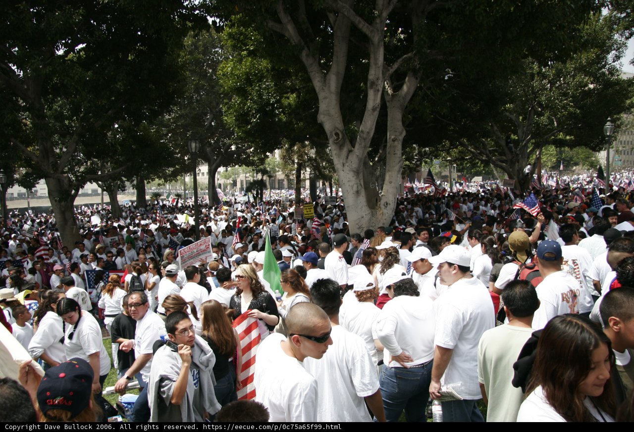 The Sea of White Hats