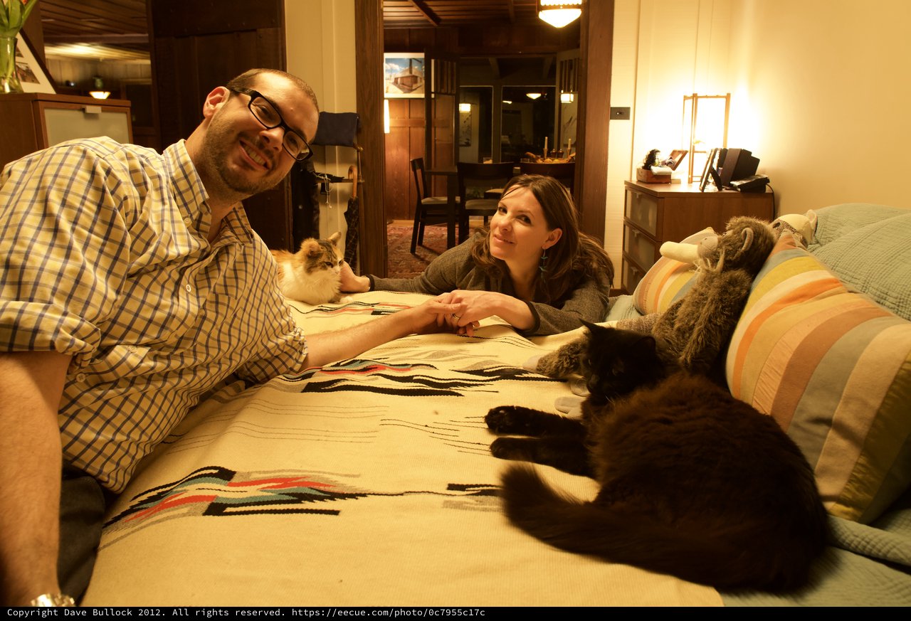 Couple Relaxing on Bed with Two Cats