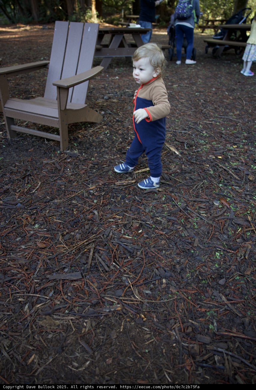 Little Explorer in Thistlewyck