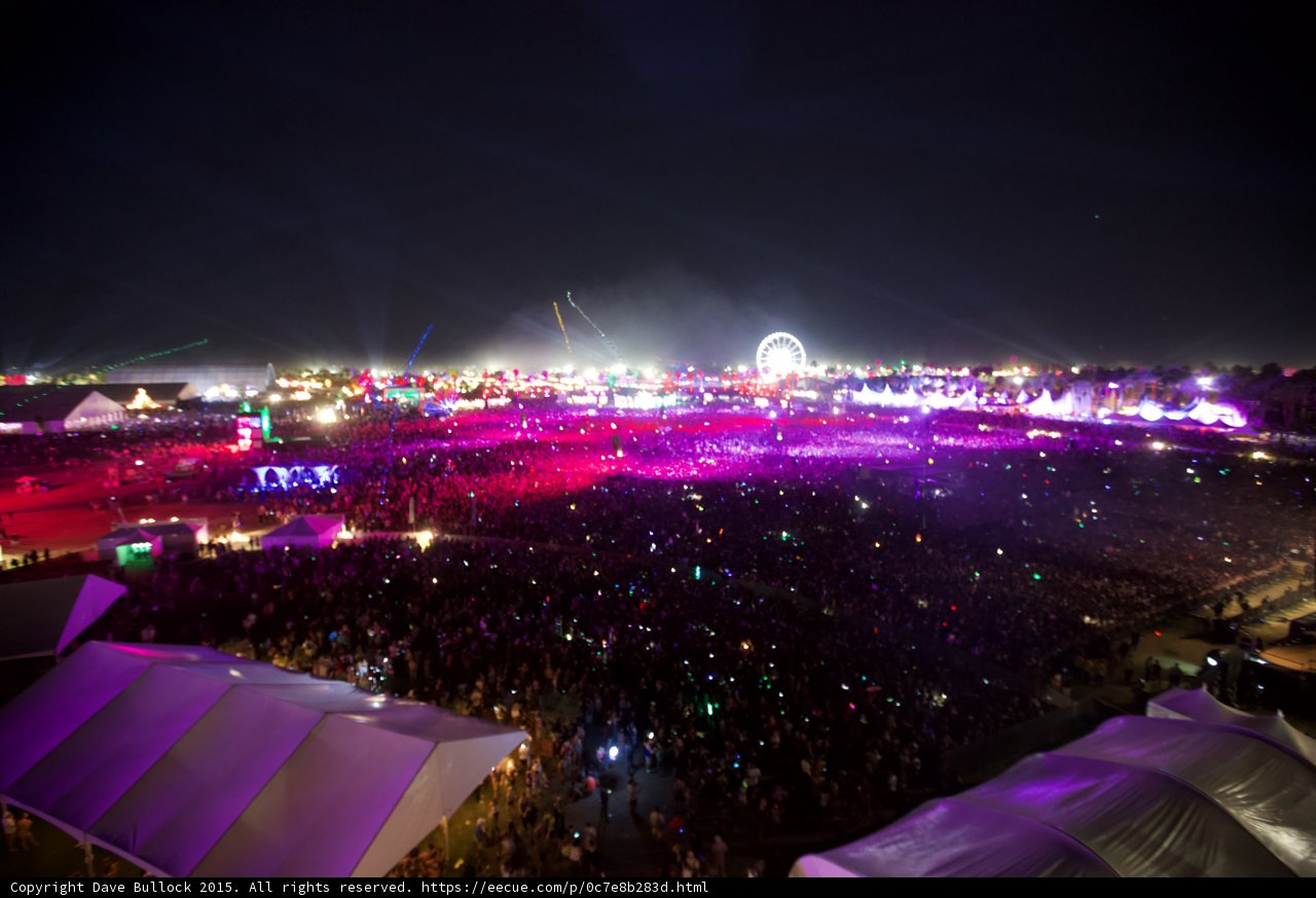 Festival Fever