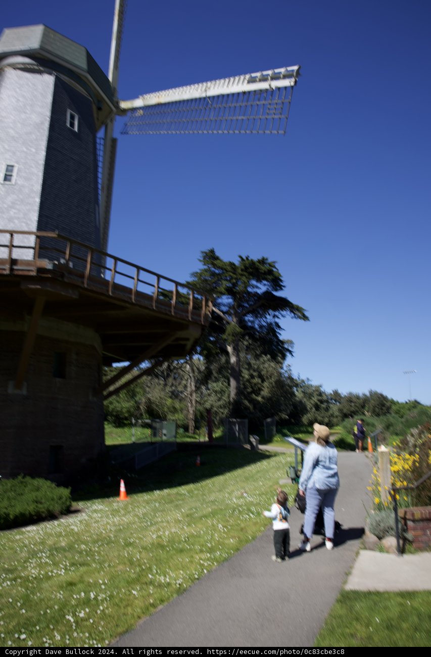 A Stroll Through Golden Gate Park