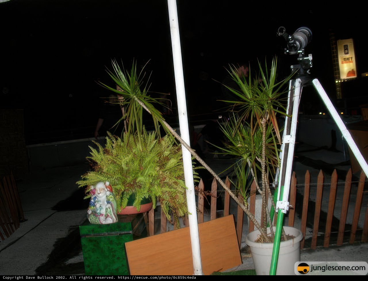 Nighttime Plant and Tripod on Porch