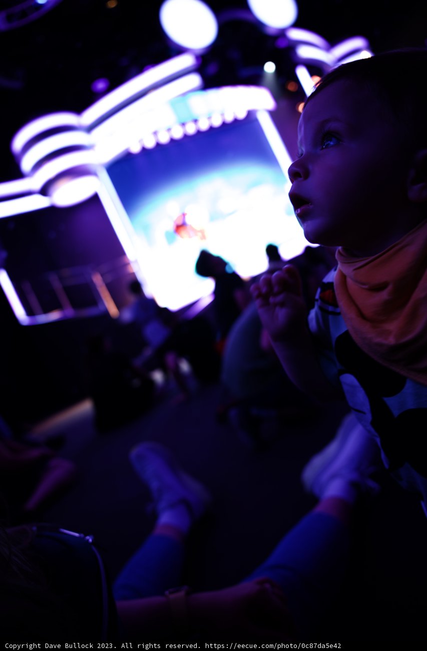 Mesmerized by the Magic