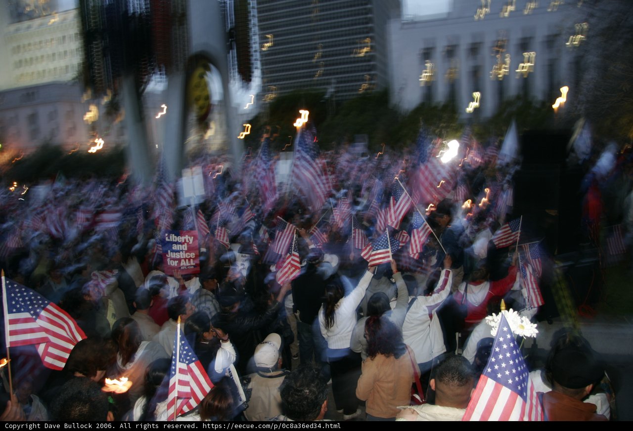 Patriotic Crowd