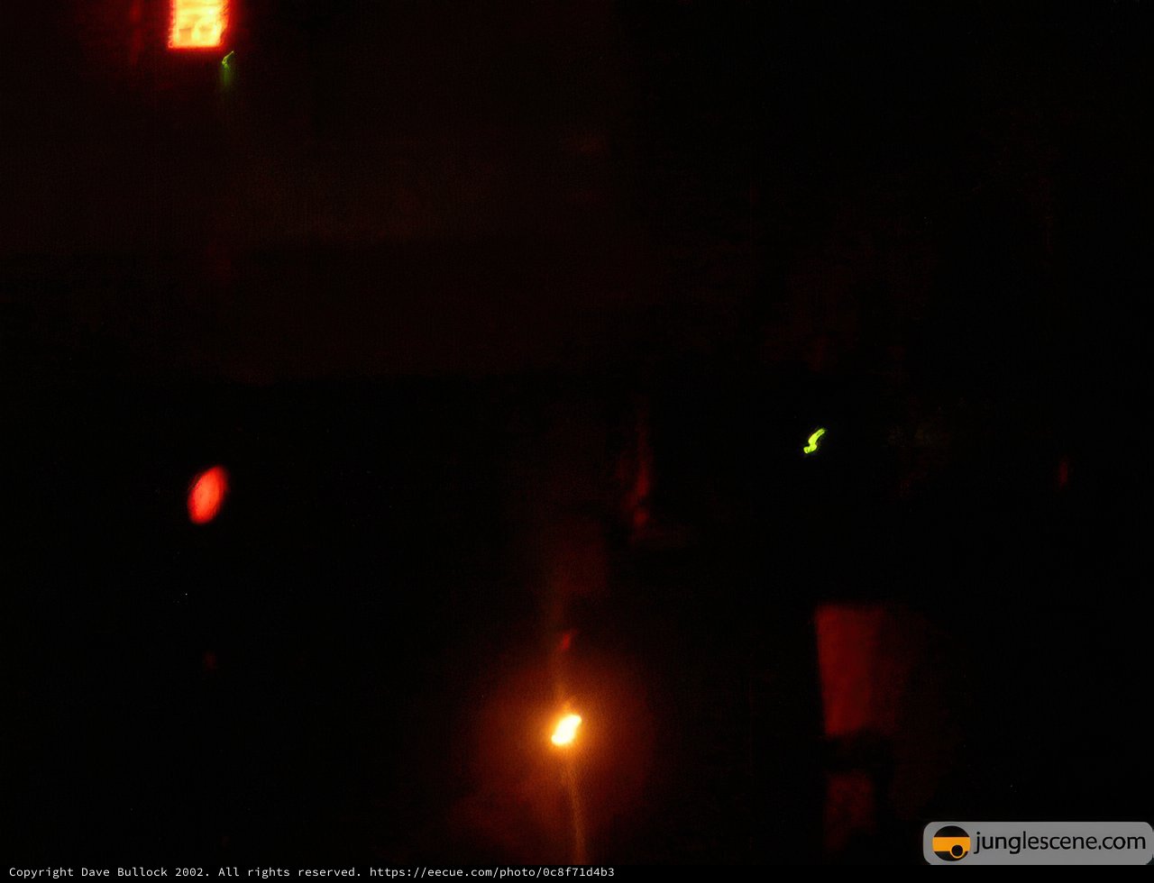 Illuminate the Night