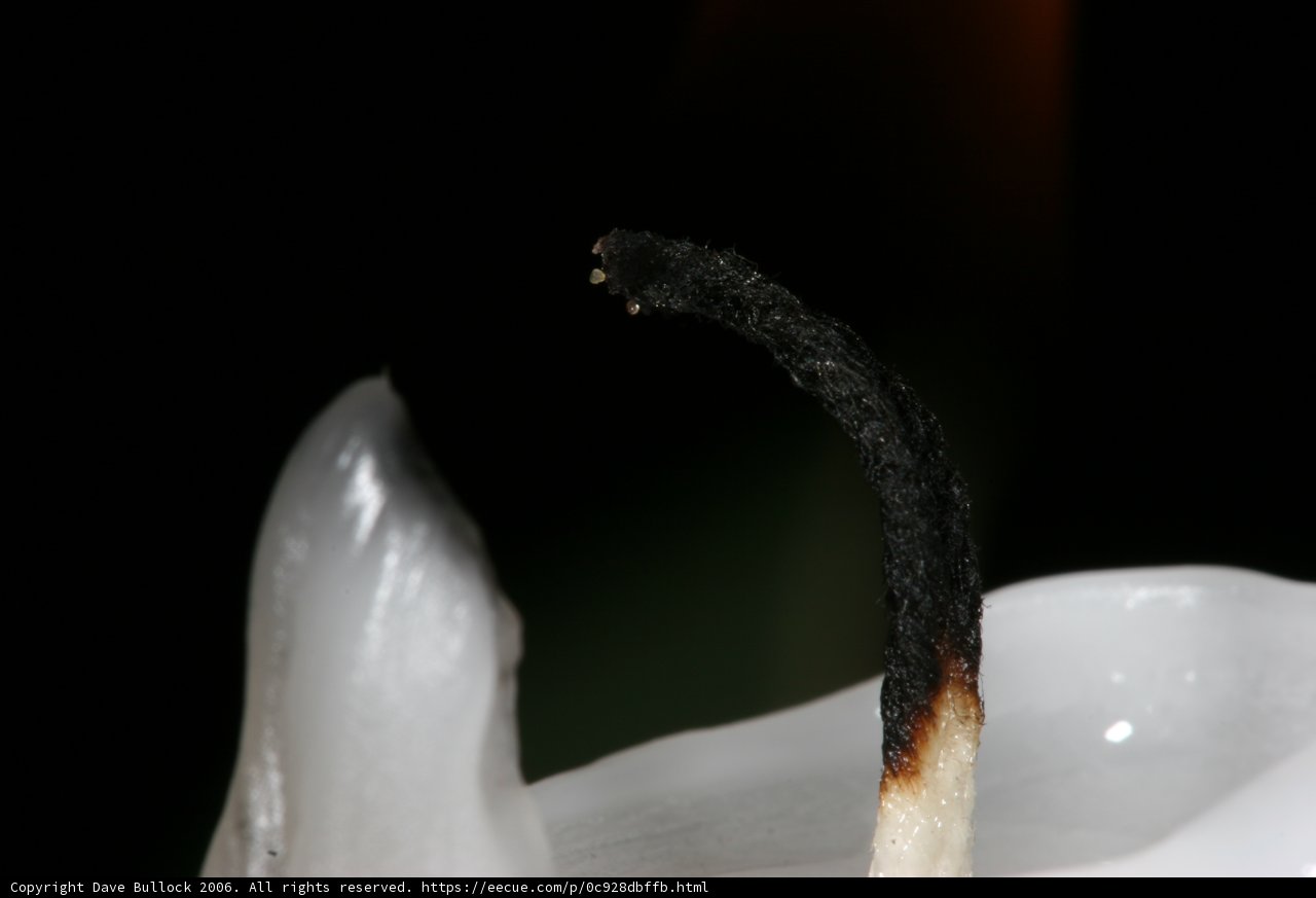 Embers of Life