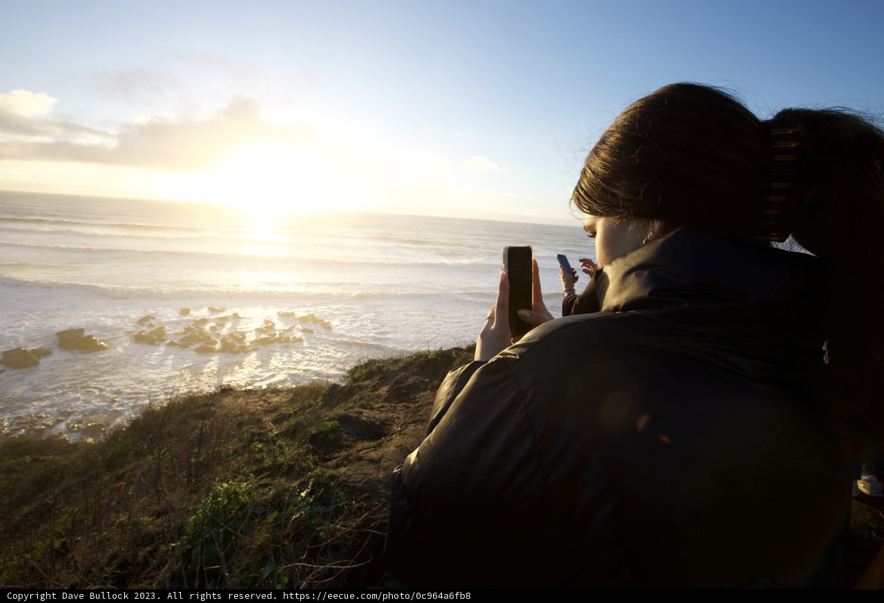 Within Nature's Lens