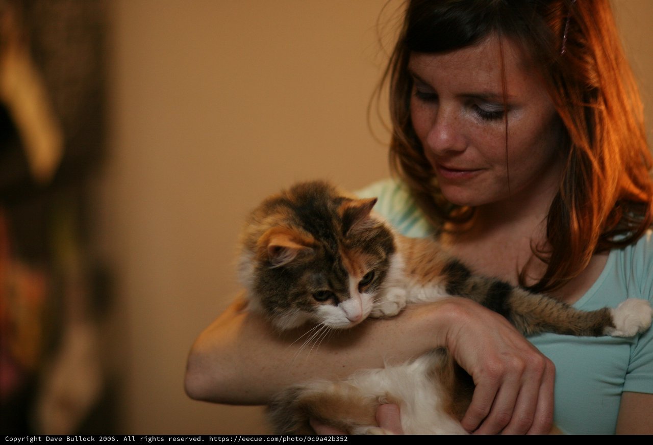 Tender Moment: Woman Cradling Calico Kitten Indoors