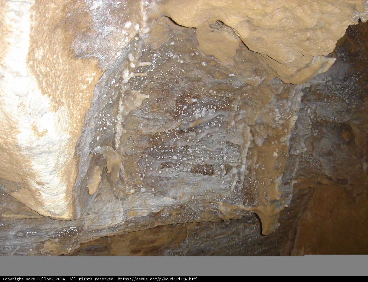 The Bride of the Cave