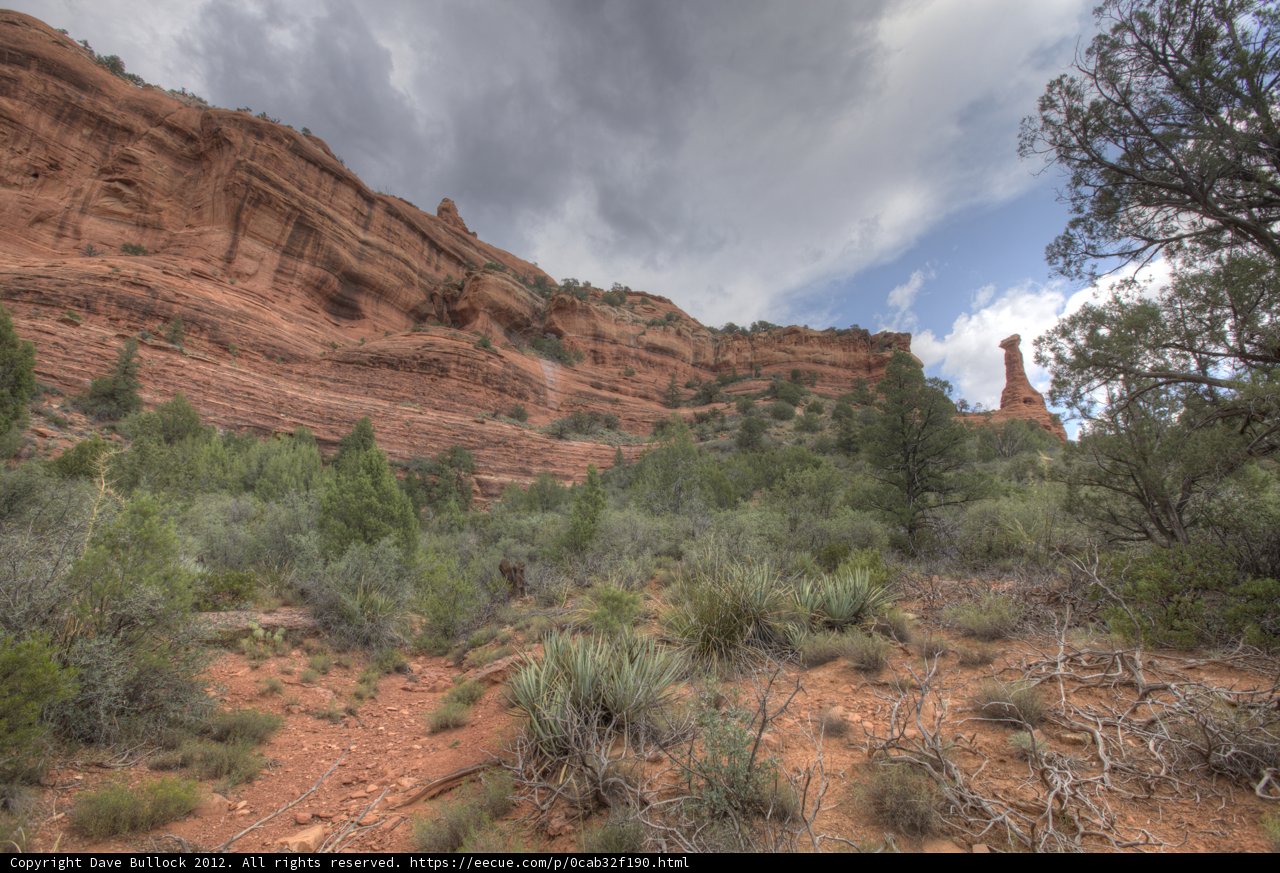 Majestic Red Rocks and Lush Trees in the Desert Wilderness