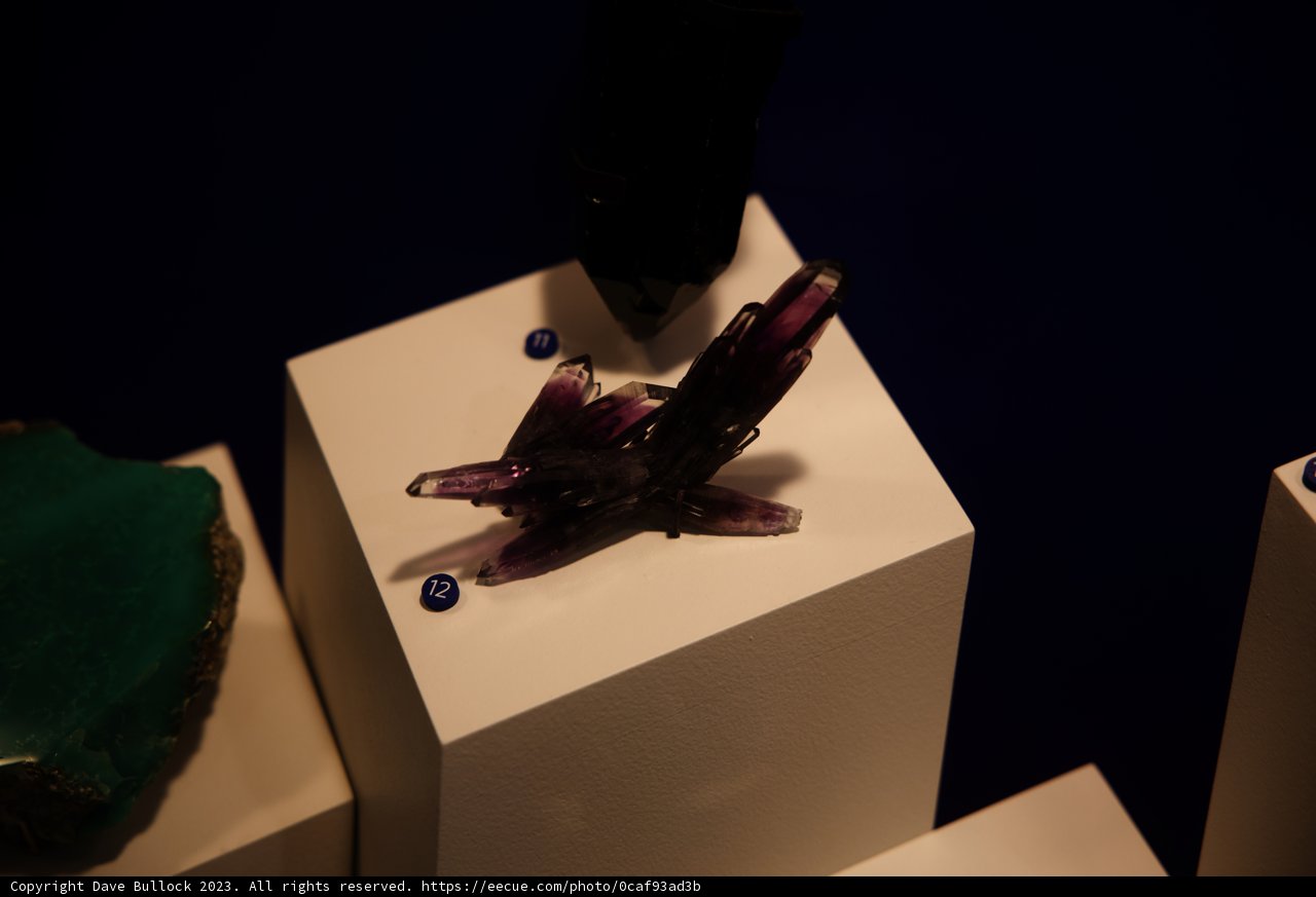 The Purple Treasure Trove