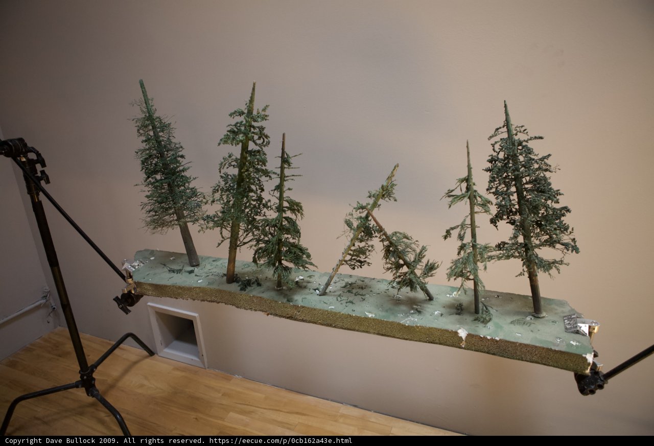 Model Trees on Hardwood Table with Tripod