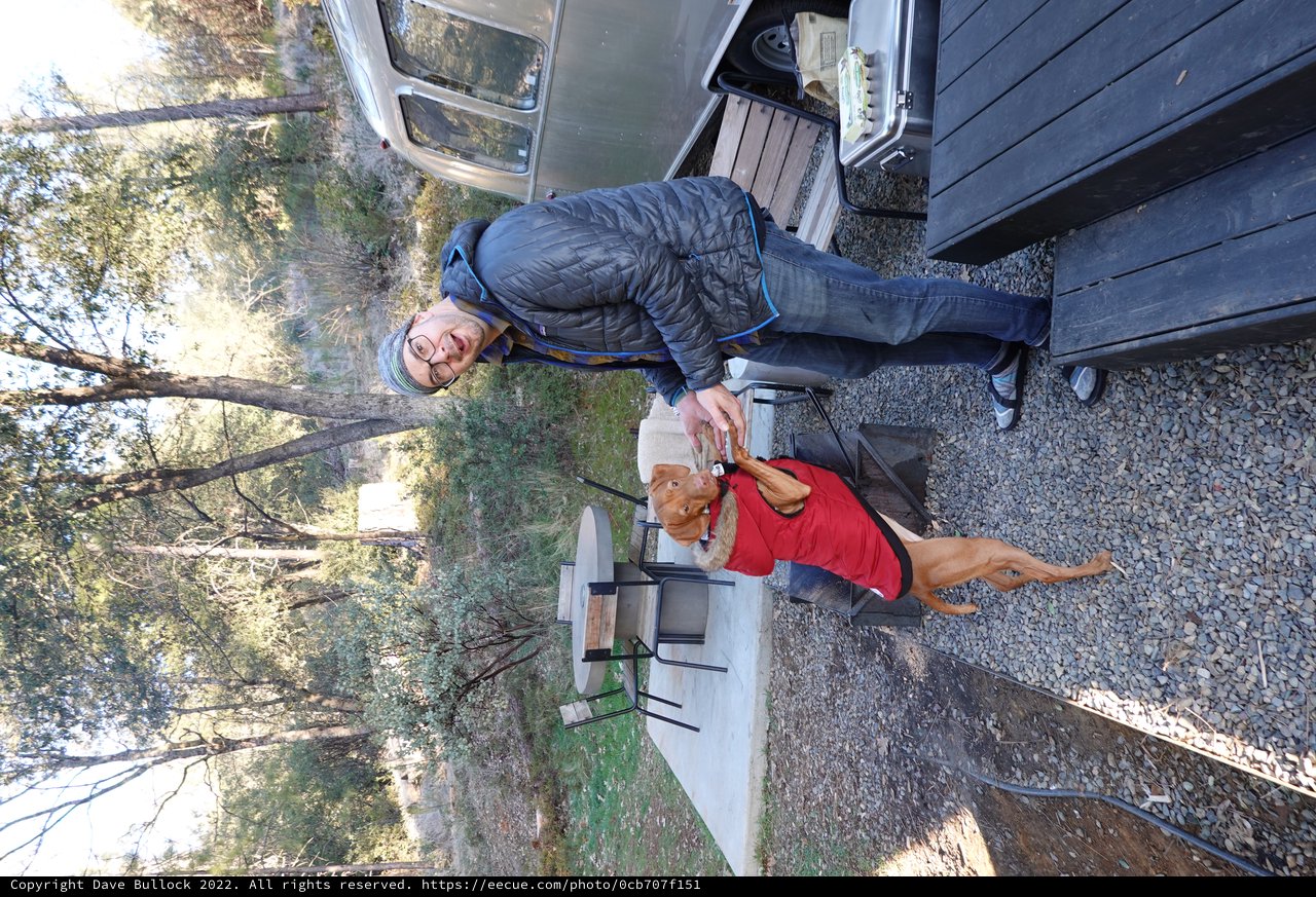 Camping Adventure with Dog and Owner