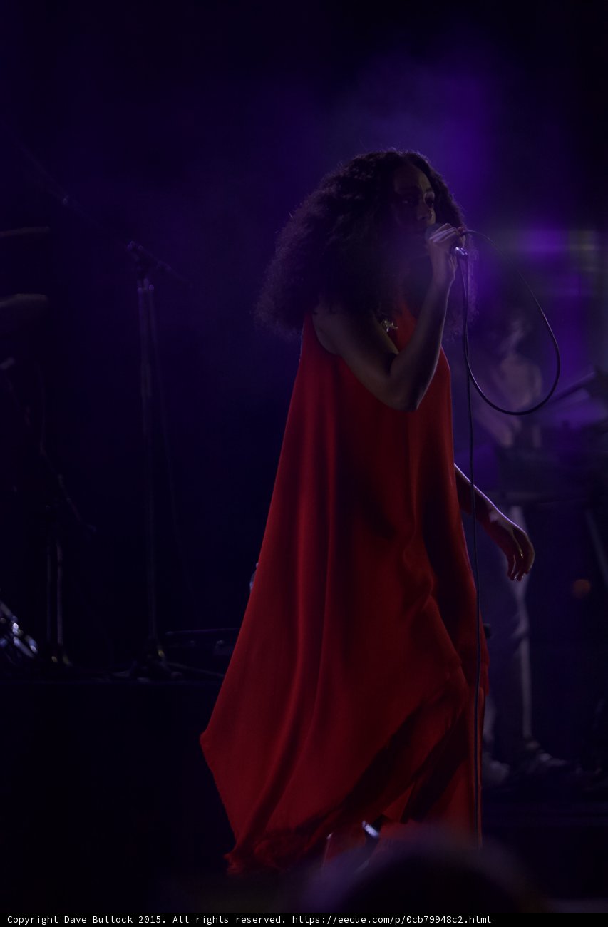 Solange Full Body Red Dress Arm Extended Purple