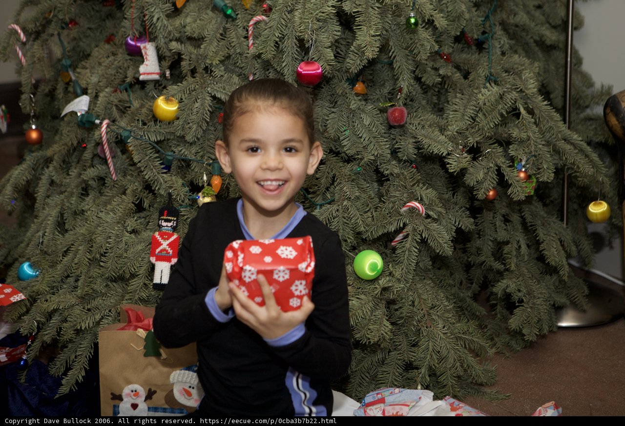 A Boy and His Gift Under the Fir Tree