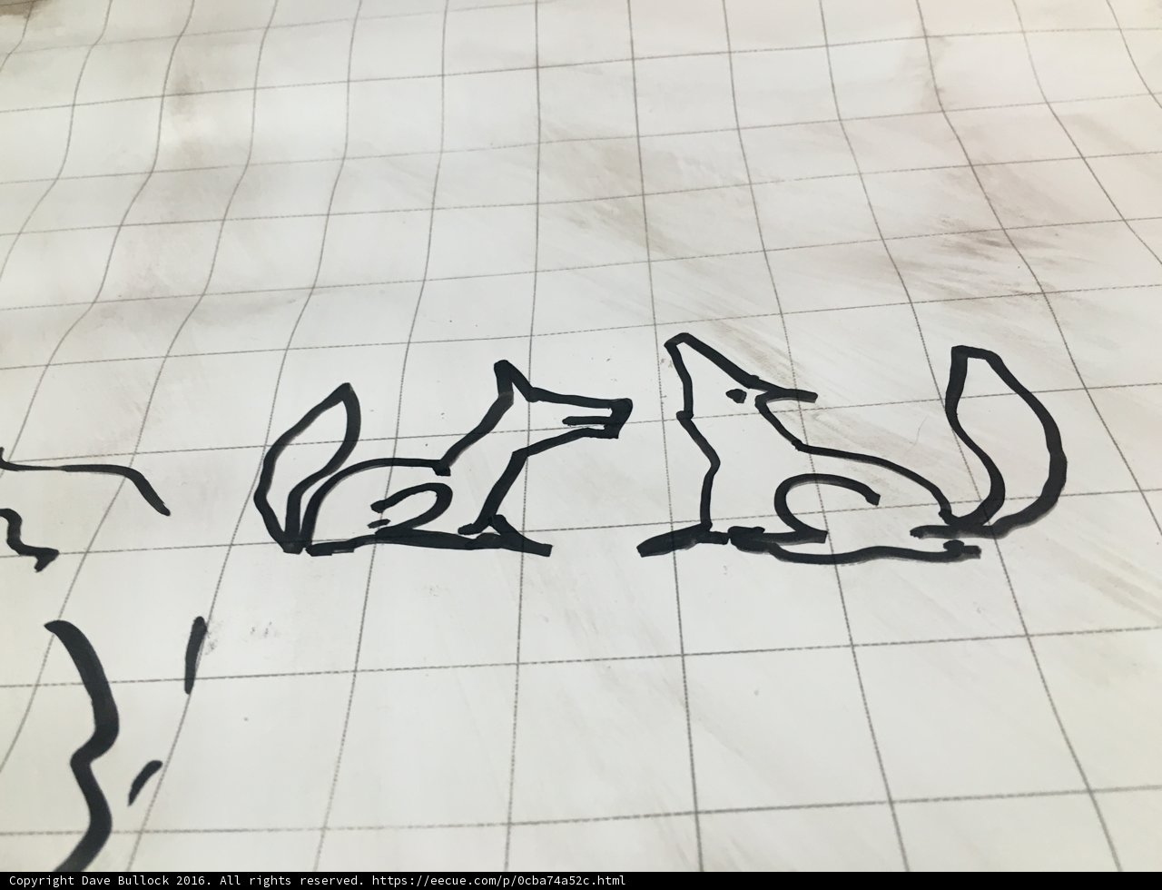 Foxes Meet on the Paper