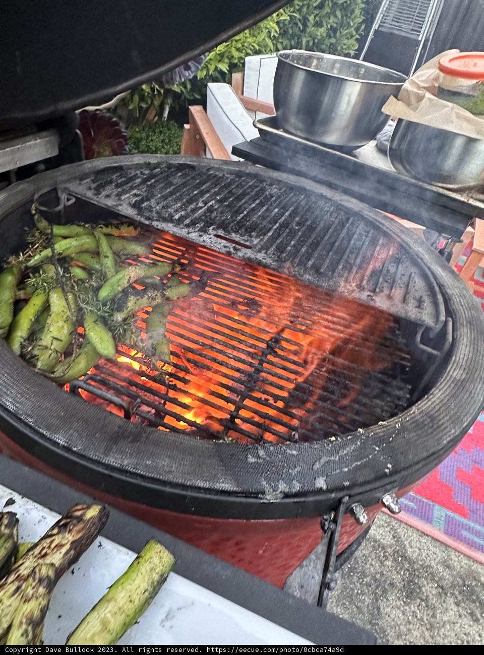 Veggie Barbecue Bonanza, May 2023