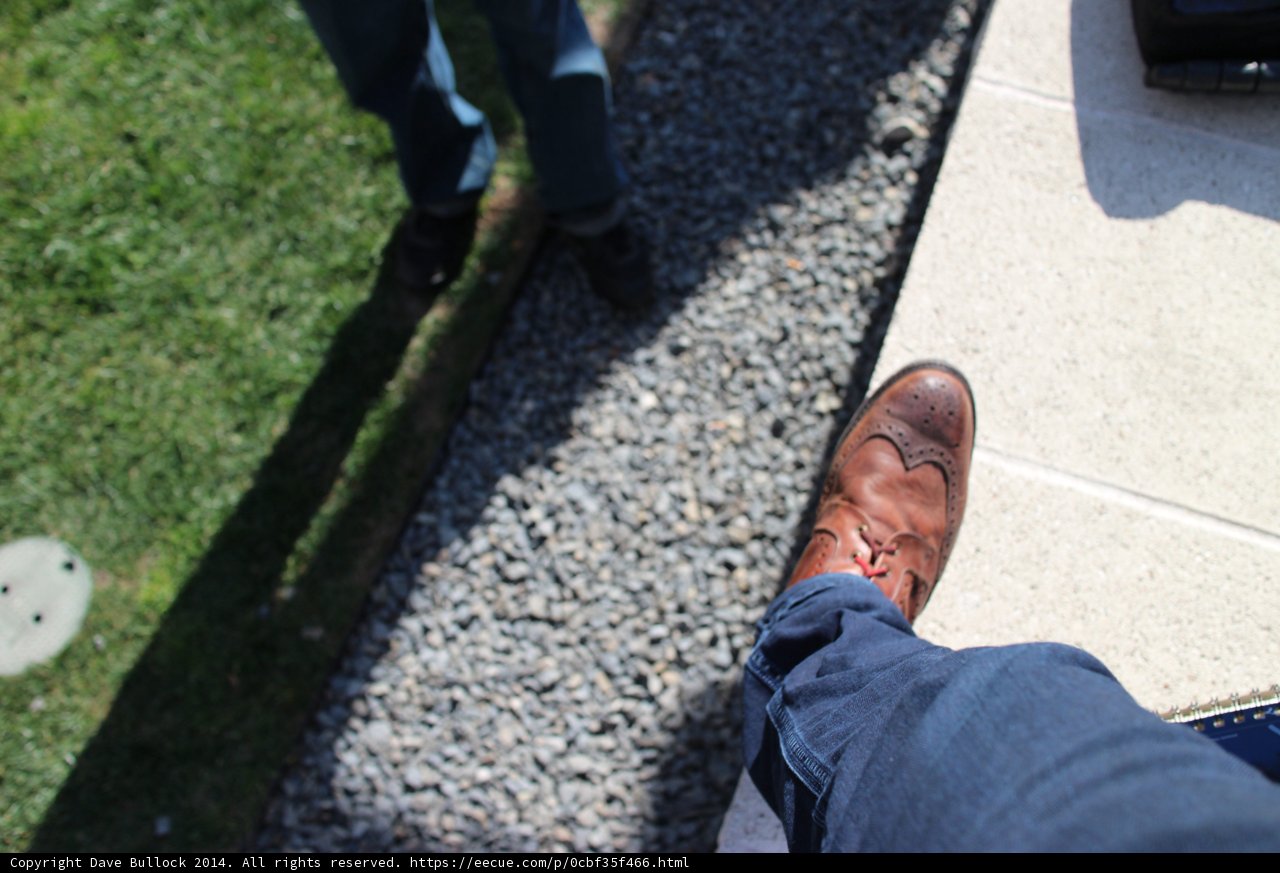Brown Shoes in Nature