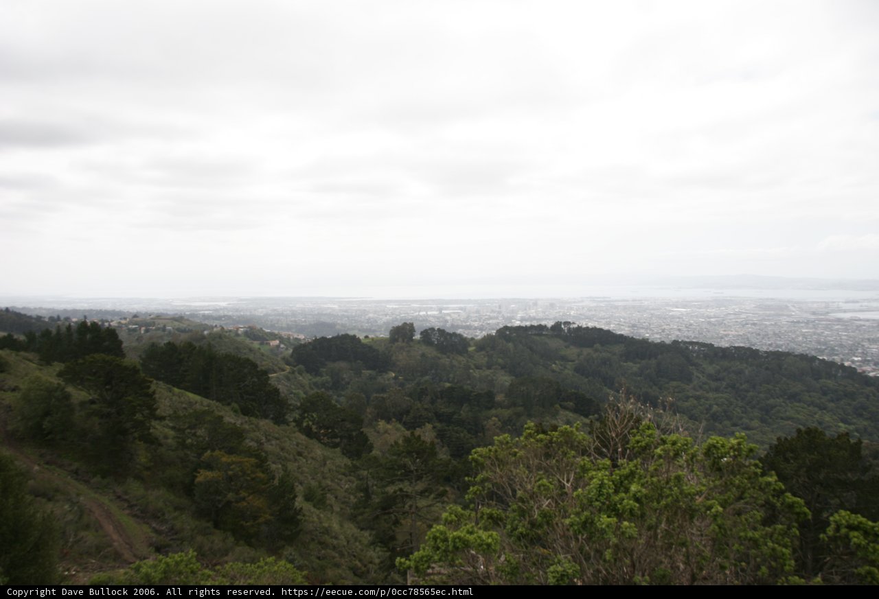 Hilltop View of the City