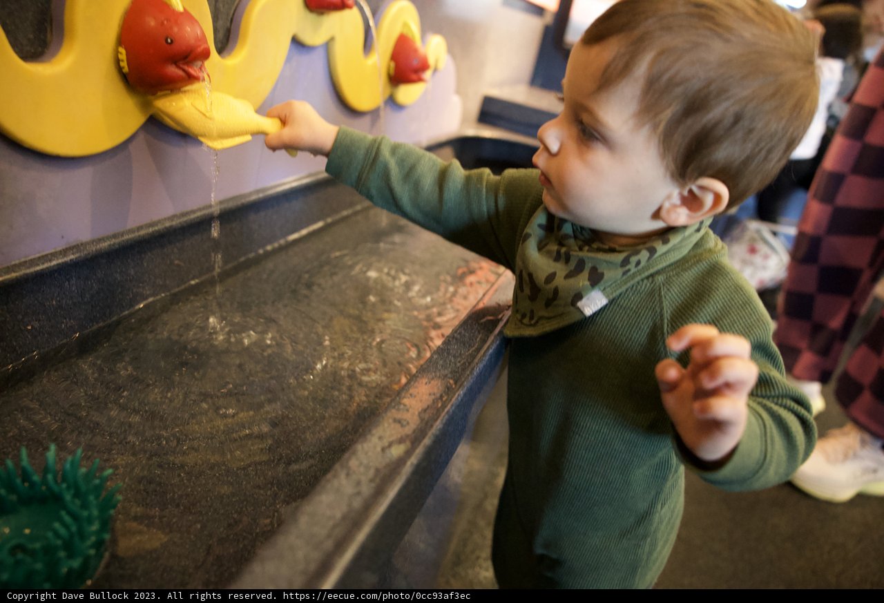 Childlike Wonder at Monterey Bay Aquarium