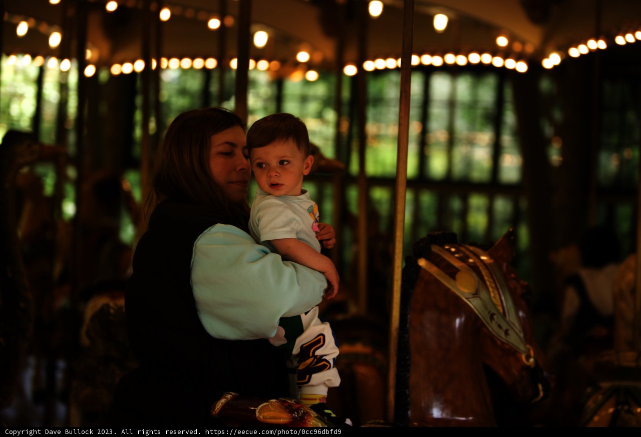 Magical Carousel Moments at SF Zoo