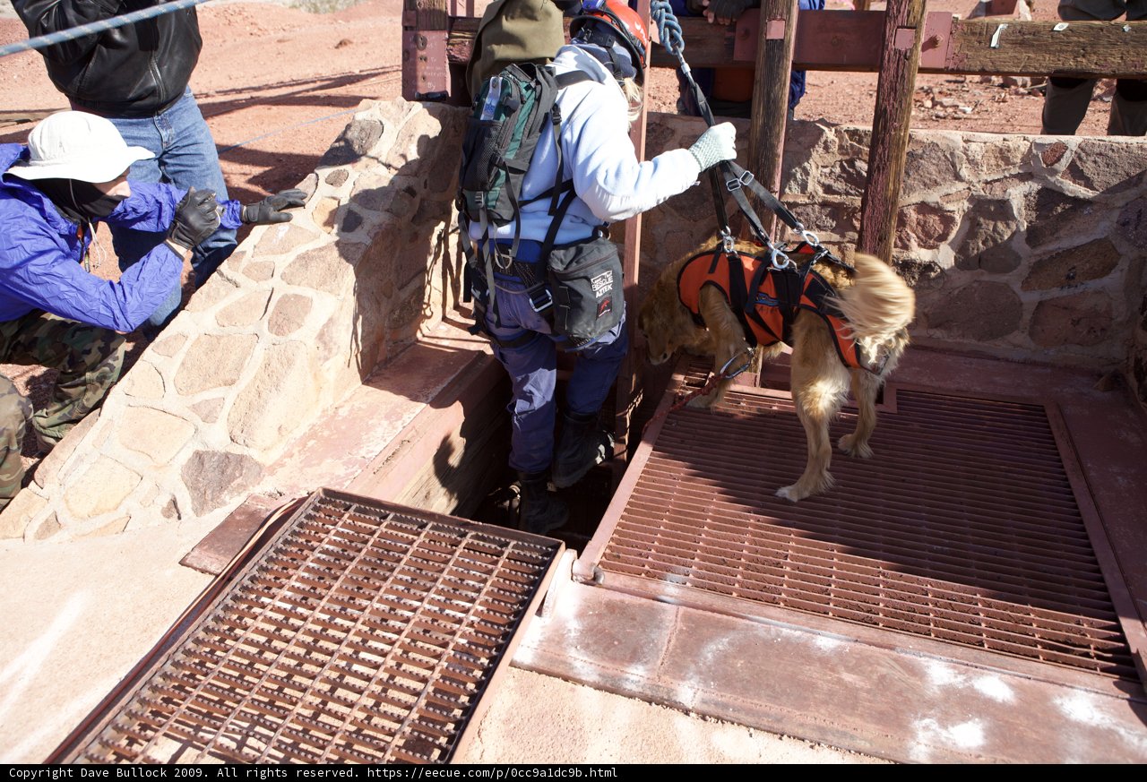 The Man and his Loyal Canine Companion in the Pit