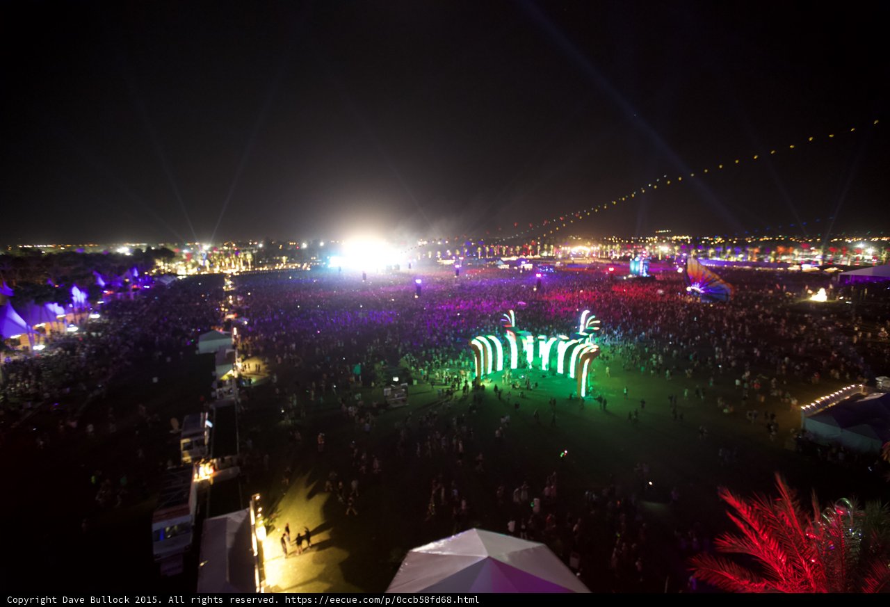 Light Up the Night