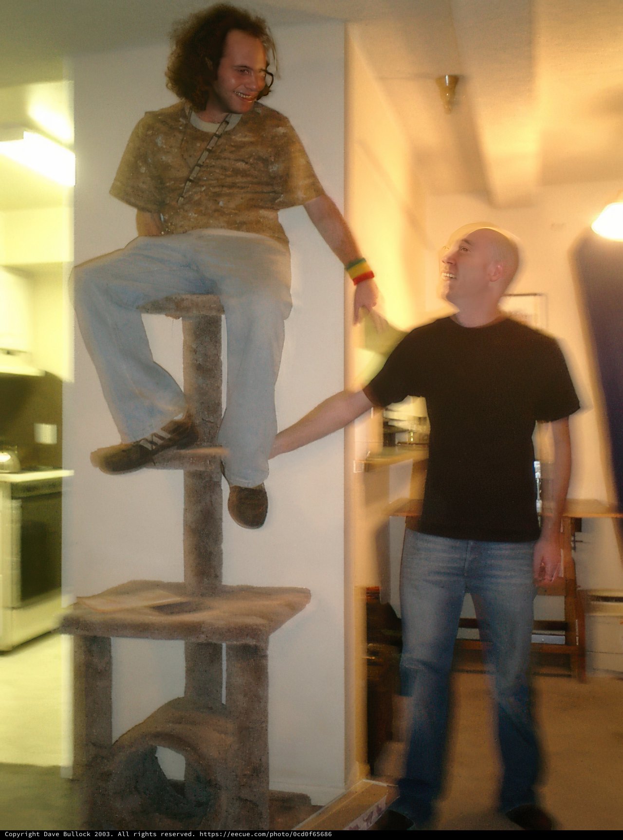 The Plywood Cat Tree