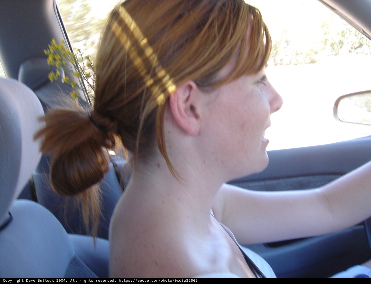 Redhead Woman Driving on a Sunny Afternoon