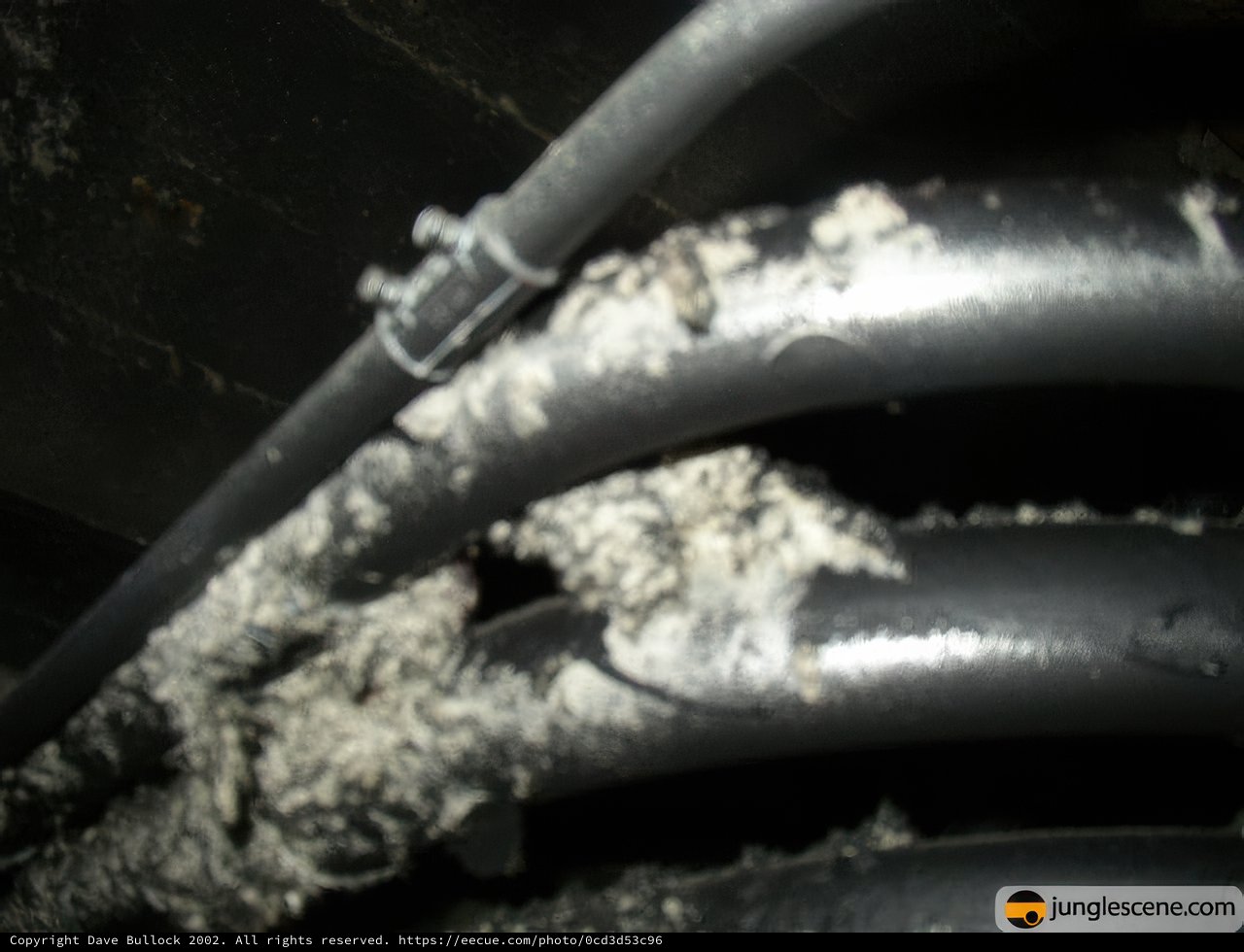 Corrosion on a Pipe