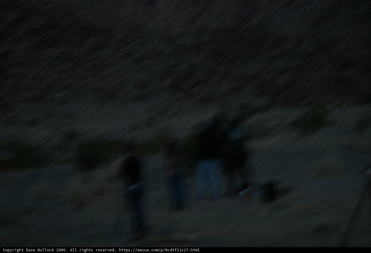 Desert Night Adventure