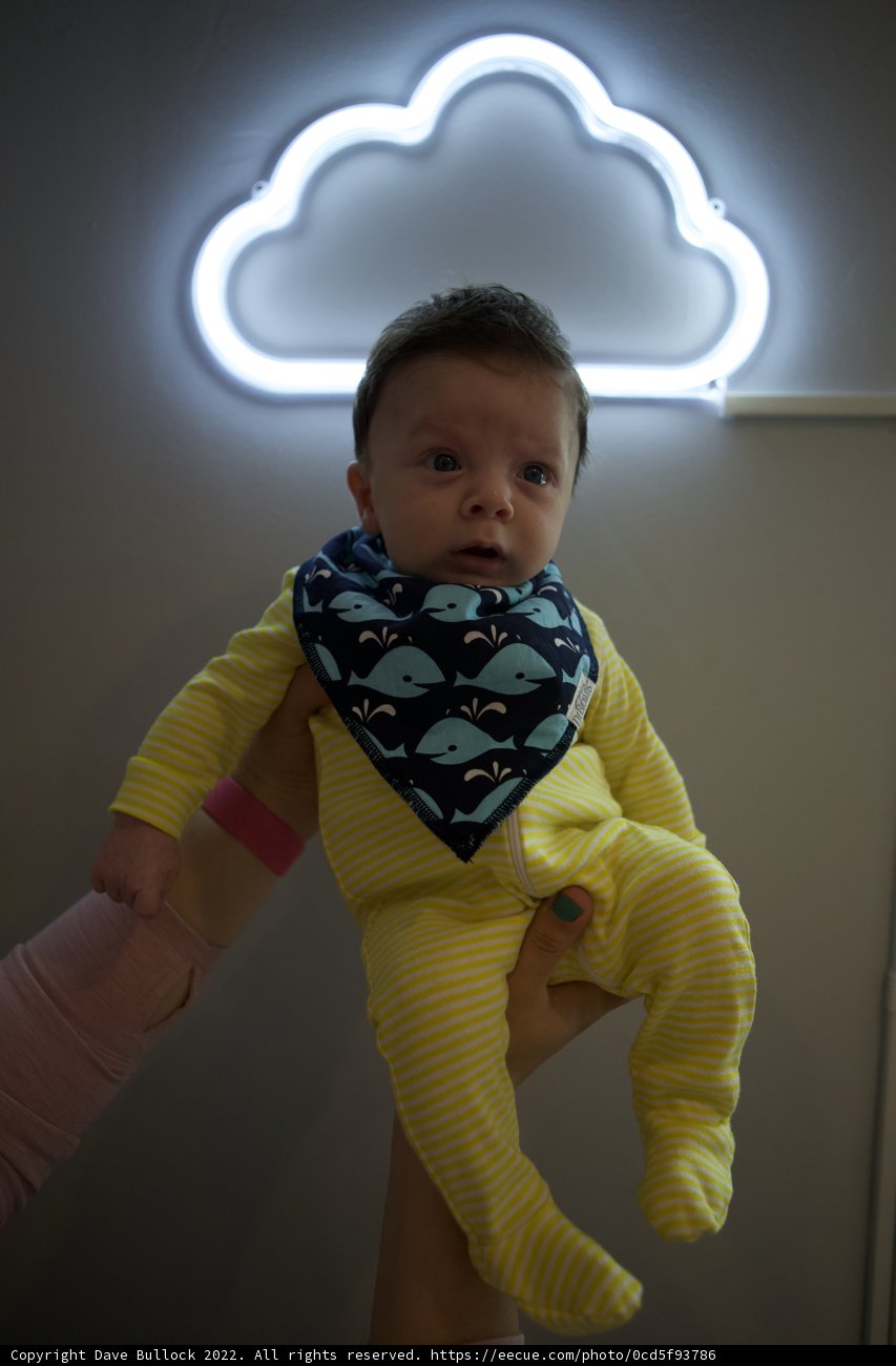 Wesley, 2 Months: Journey in the Neon Clouds