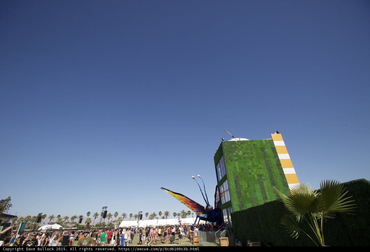 The Green Oasis in the Desert