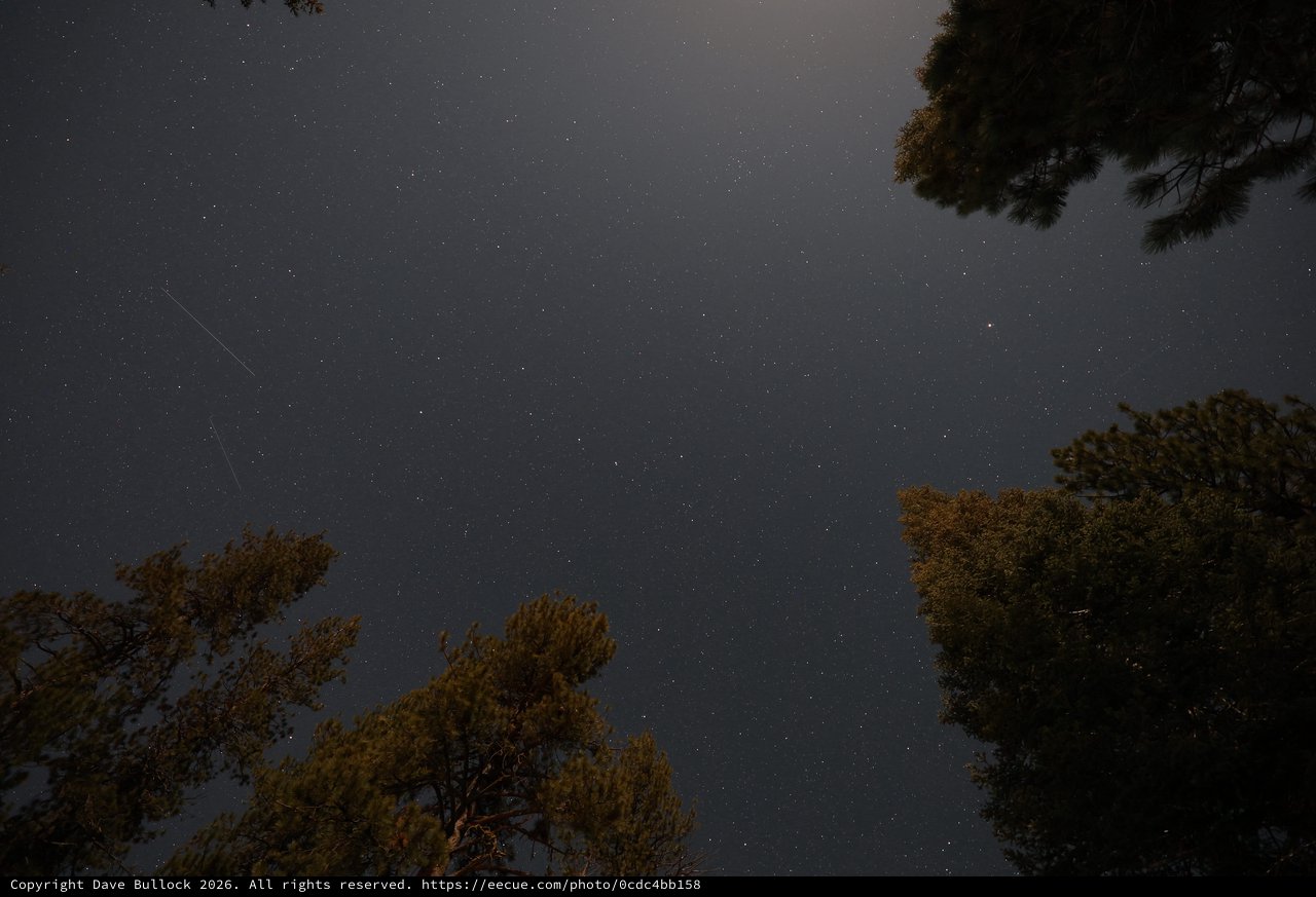 Meteor Streak Over Lassen Volcanic National Park Pines