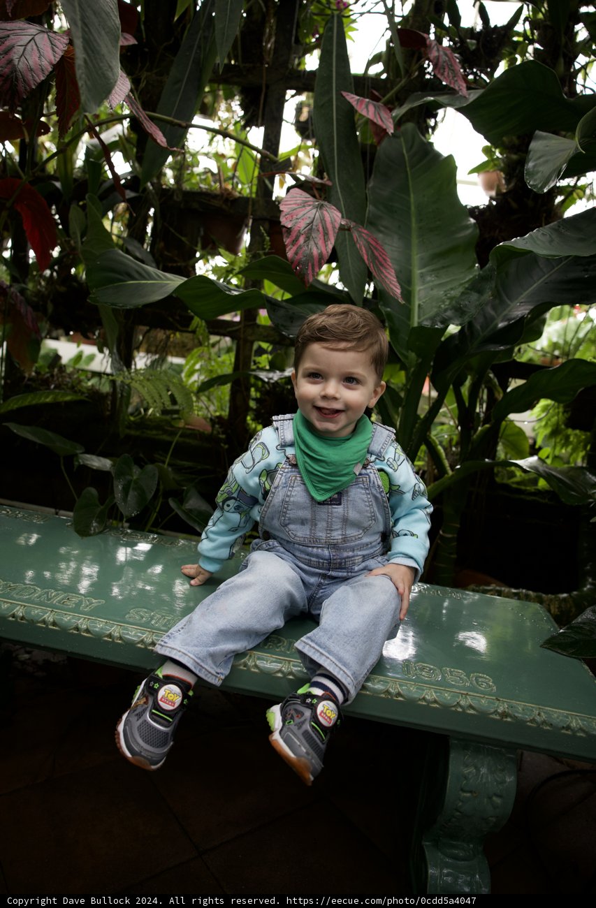Springtime Joy in the Conservatory: Golden Gate Park [2024]