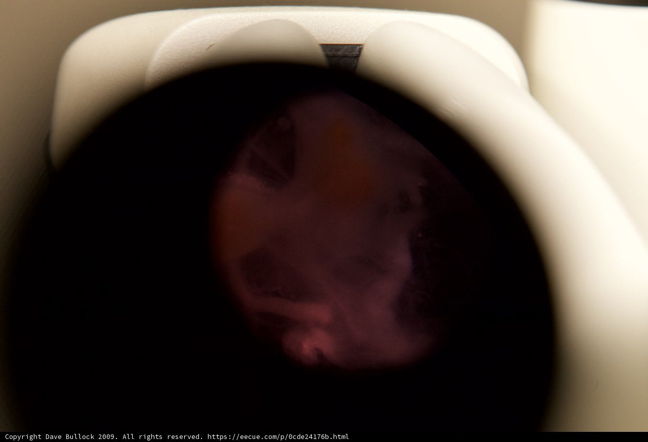 A Close-Up of a White and Pink Object
