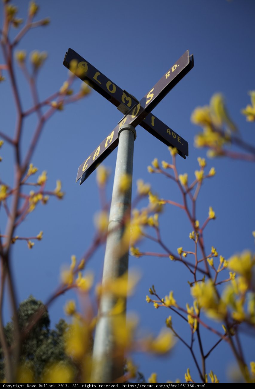 Crossroads in Bloom
