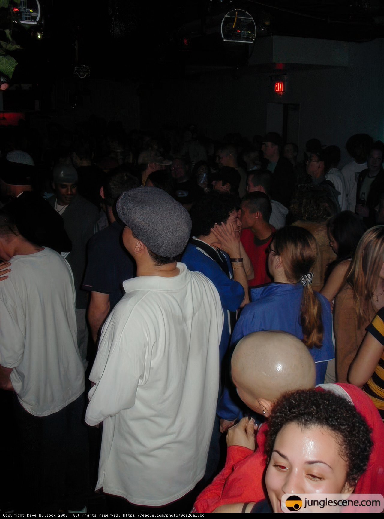 Nightclub Fun with a Crowd of People