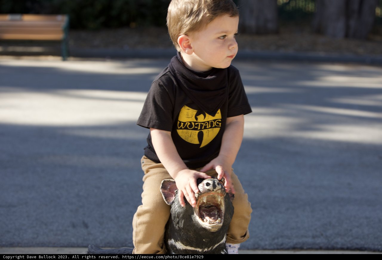 A Playful Afternoon at SF Zoo